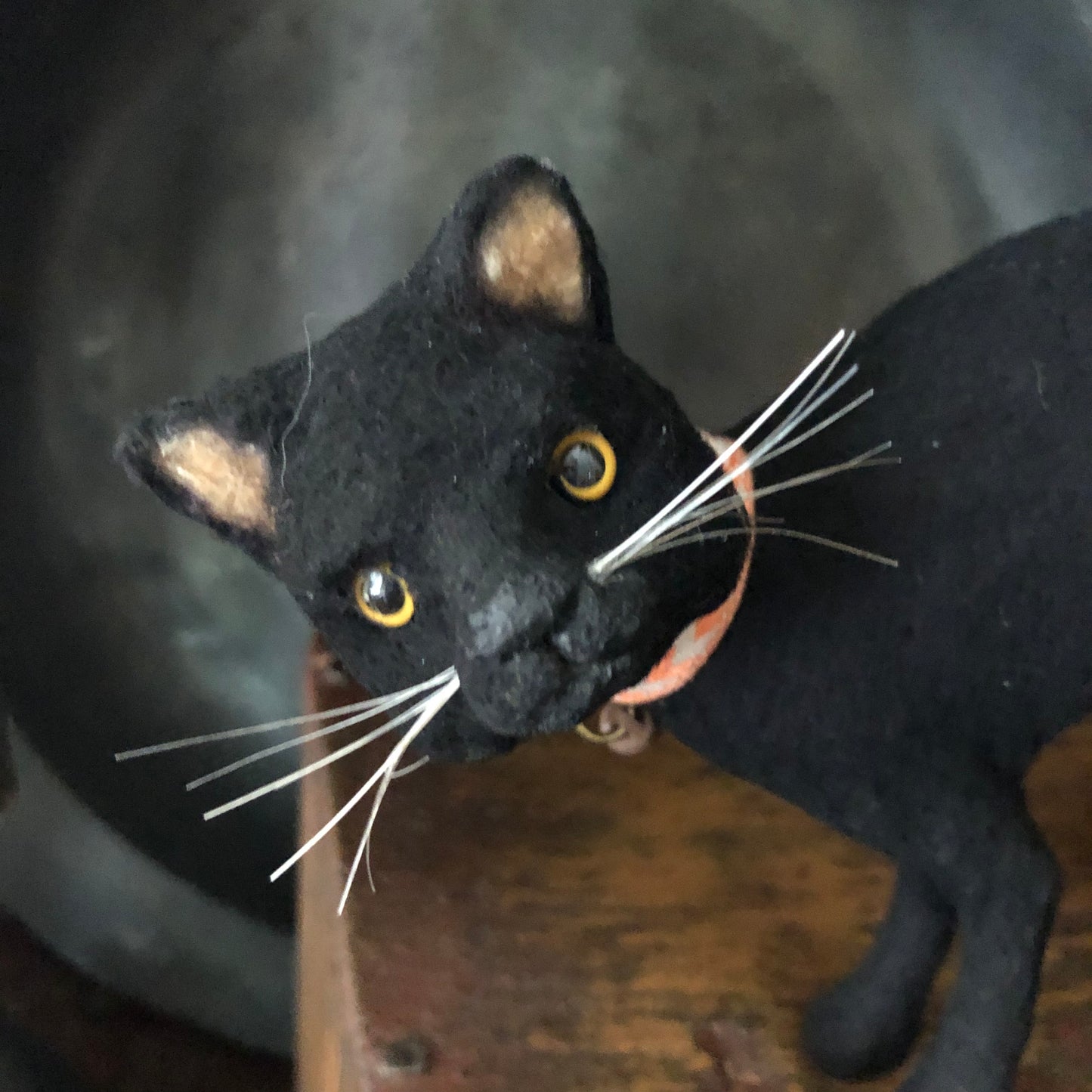 C Yenke Co - Black Cat