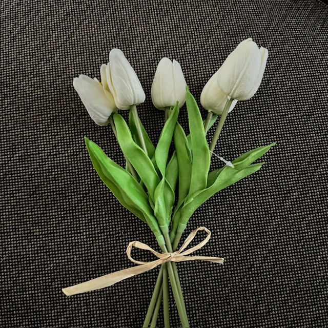 Florals - Cream Tulips