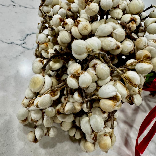 Florals - Tallow Berries