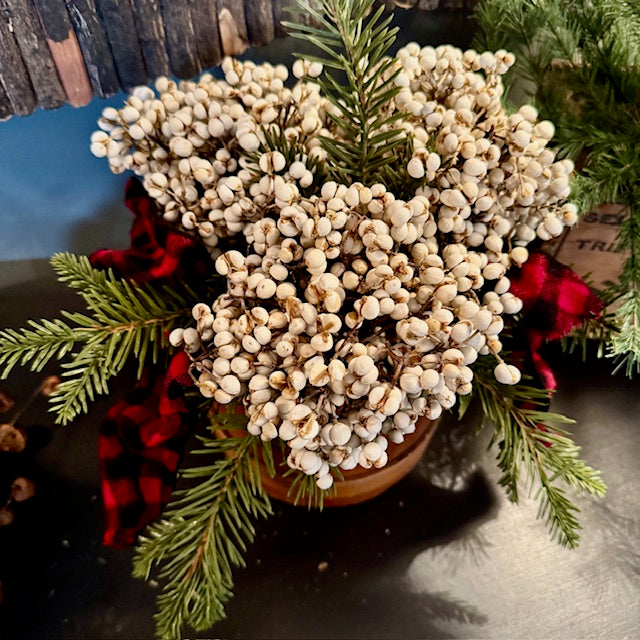 Florals - Tallow Berries