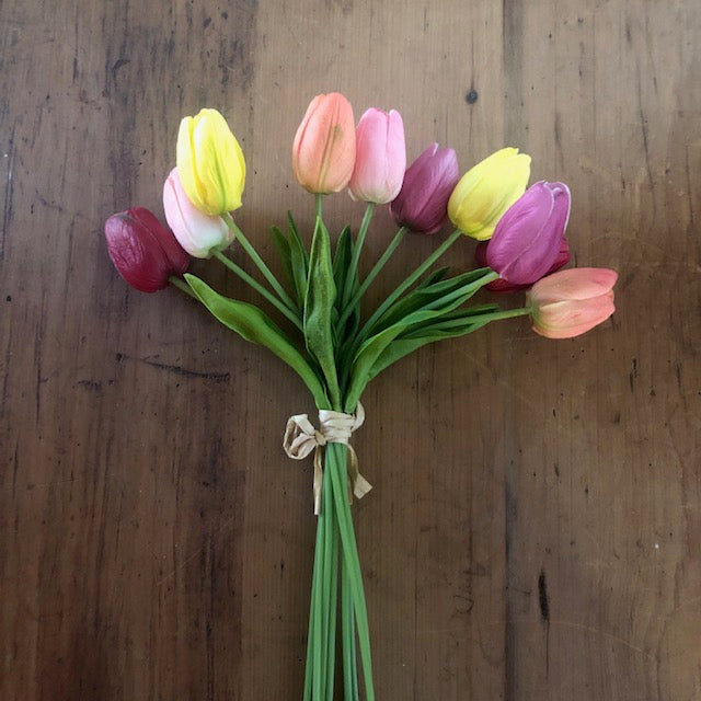 Florals - Mixed Tulip Bunch #1
