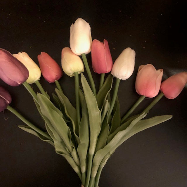 Florals - Mixed Tulip Bunch #2