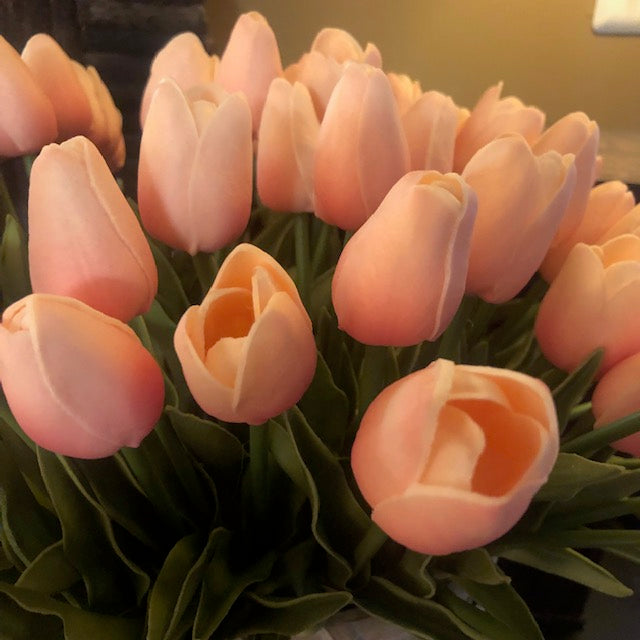 Florals - Pink Tulips
