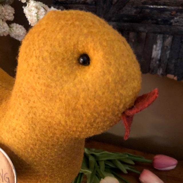 The Brown House - Spring Chick