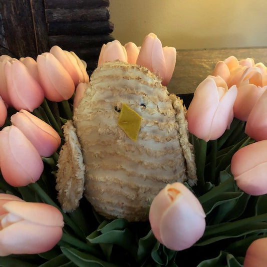 The Brown House - Chenille Chick