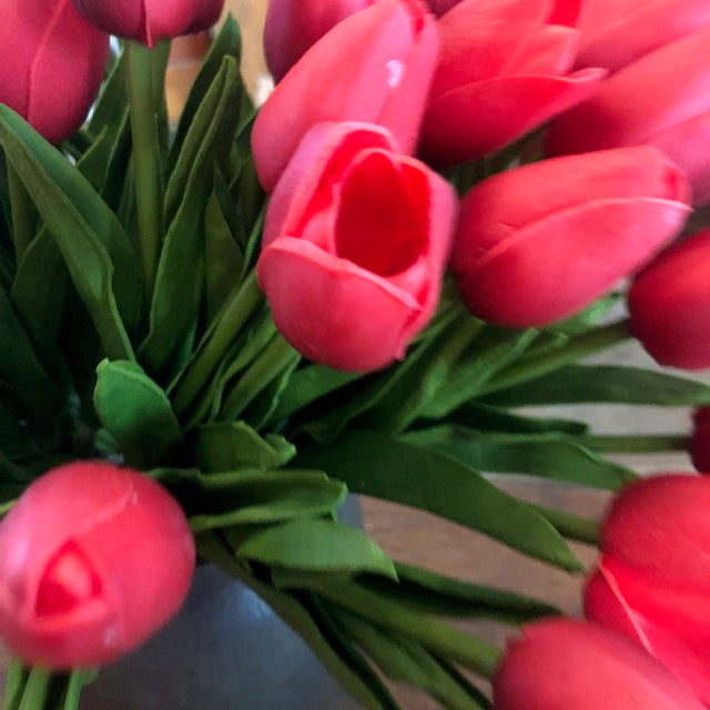 Florals - Red Tulips