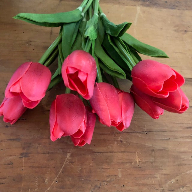 Florals - Red Tulips