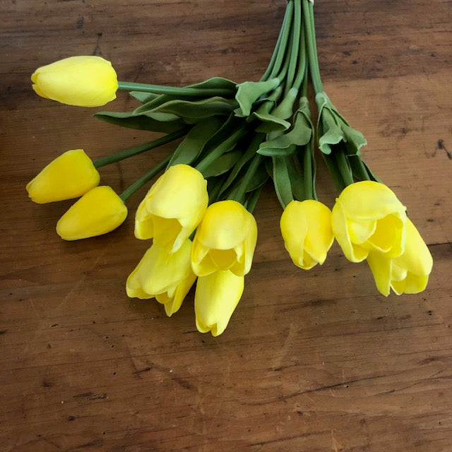 Florals - Yellow Tulips
