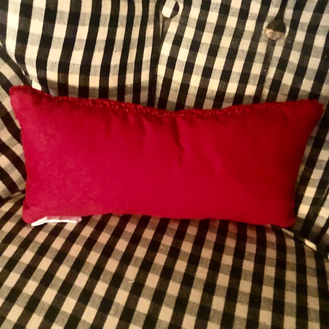 Pillow - Believe (6x11)