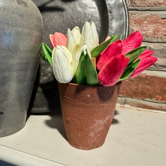 Florals - Mini Tulips
