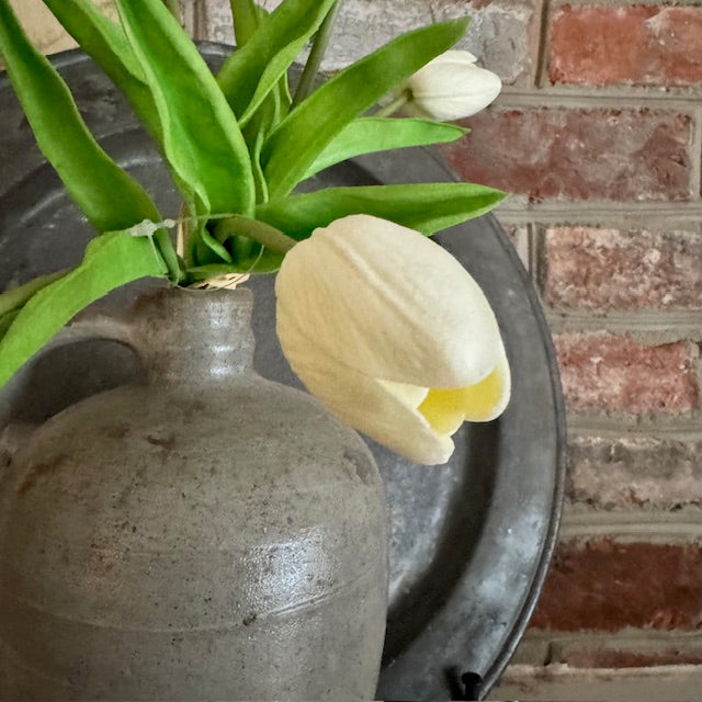 Florals - Cream Tulips