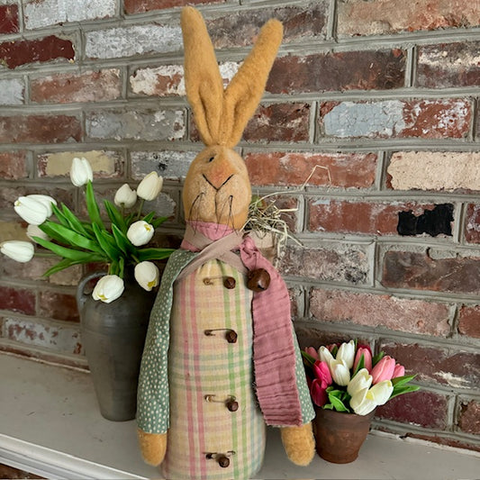 Raggedy Junction - Back Pack Bunny