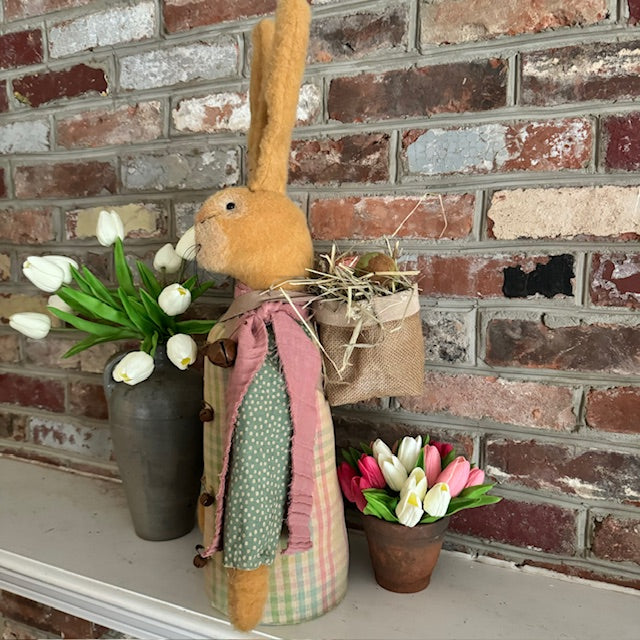 Raggedy Junction - Back Pack Bunny
