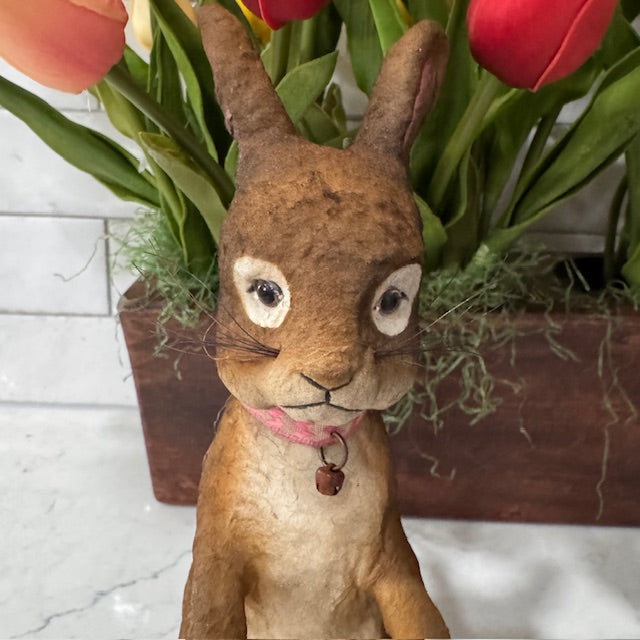 C Yenke - Sitting Bunny
