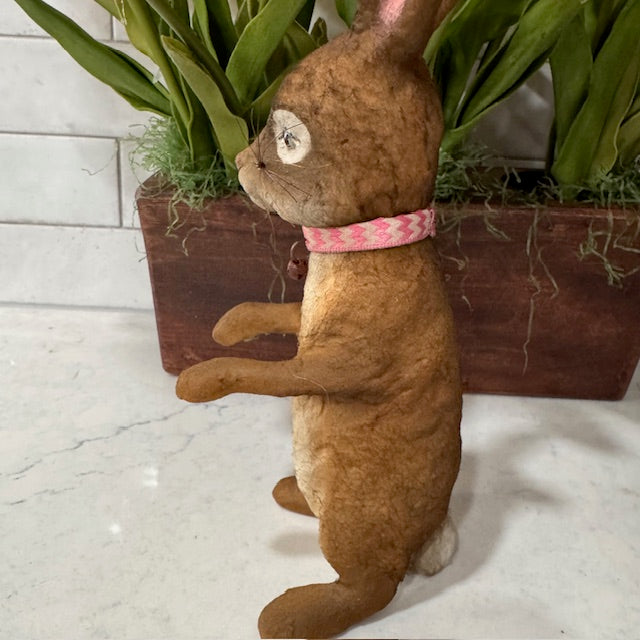 C Yenke - Sitting Bunny