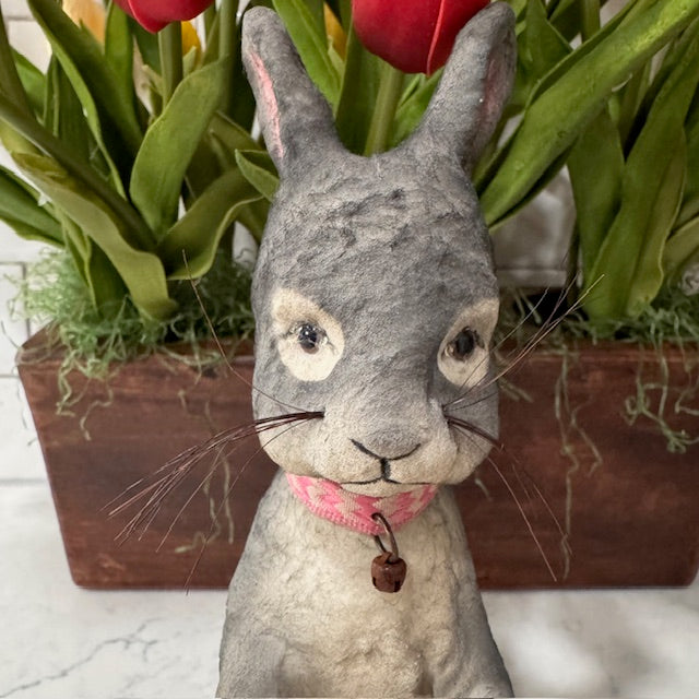 C Yenke - Sitting Bunny
