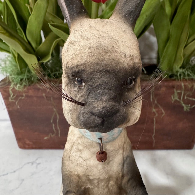 C Yenke - Sitting Bunny