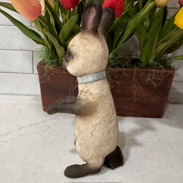 C Yenke - Sitting Bunny