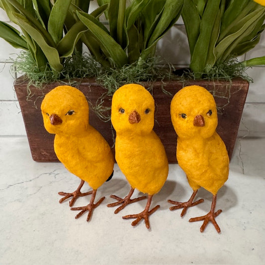 C Yenke - Spring Chicks