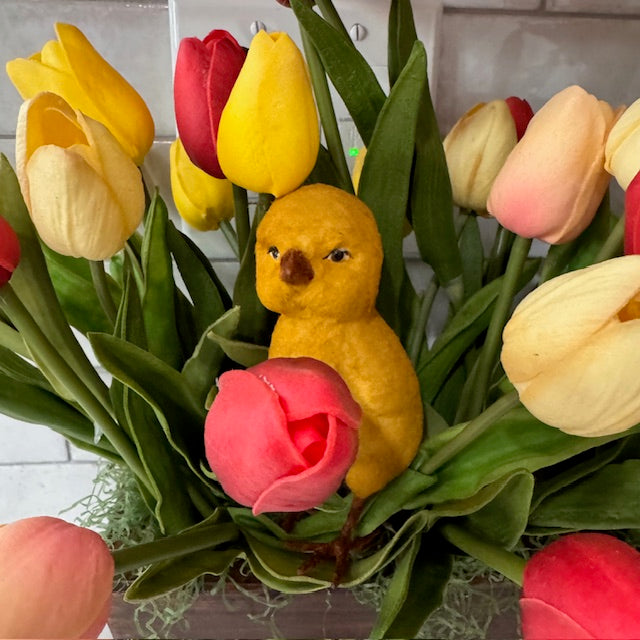 C Yenke - Spring Chicks