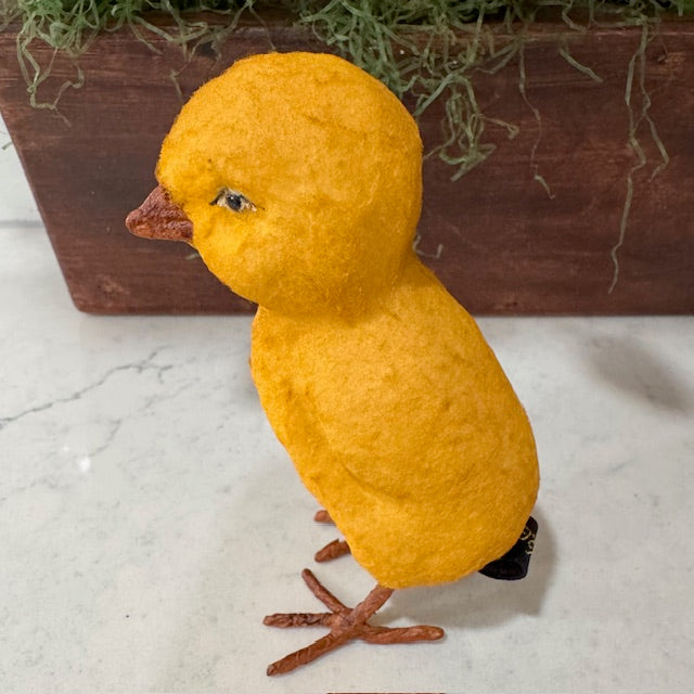 C Yenke - Spring Chicks