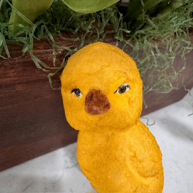 C Yenke - Spring Chicks