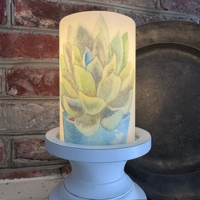 Candle Sleeve - Succulent
