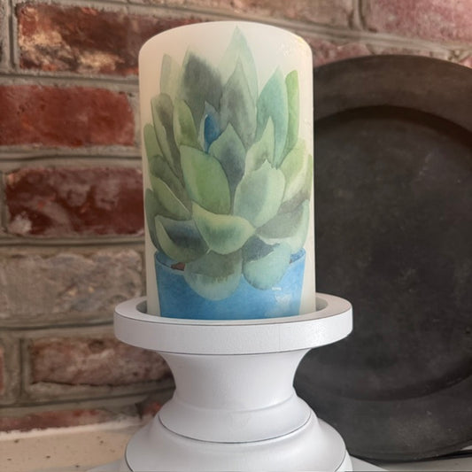 Candle Sleeve - Succulent