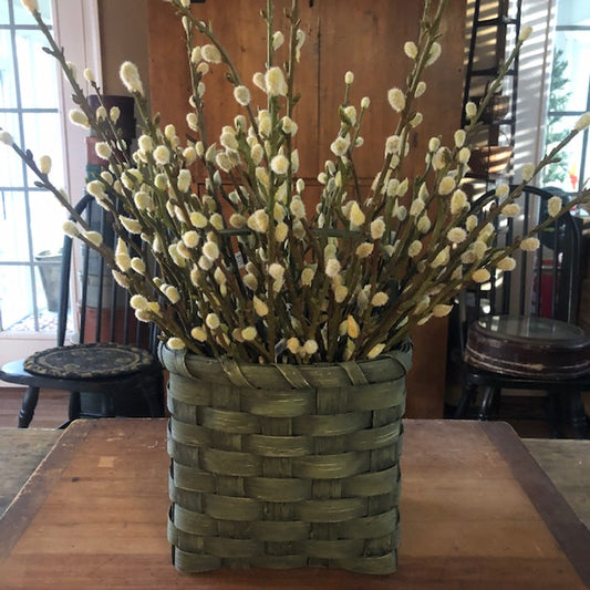 Florals - Pussy Willow