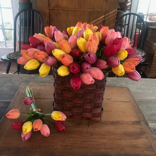 Florals - Mixed Tulip Bunch #1