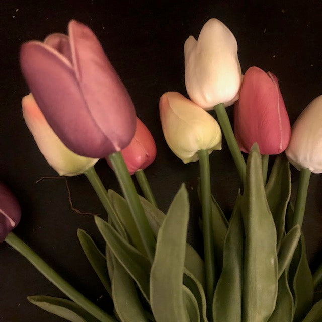 Florals - Mixed Tulip Bunch #2