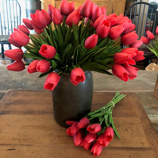 Florals - Red Tulips