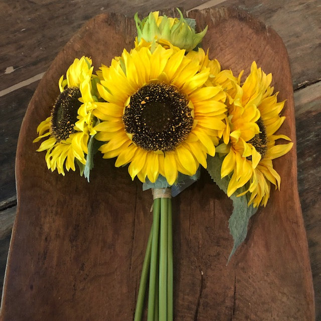 Florals - Sunflower