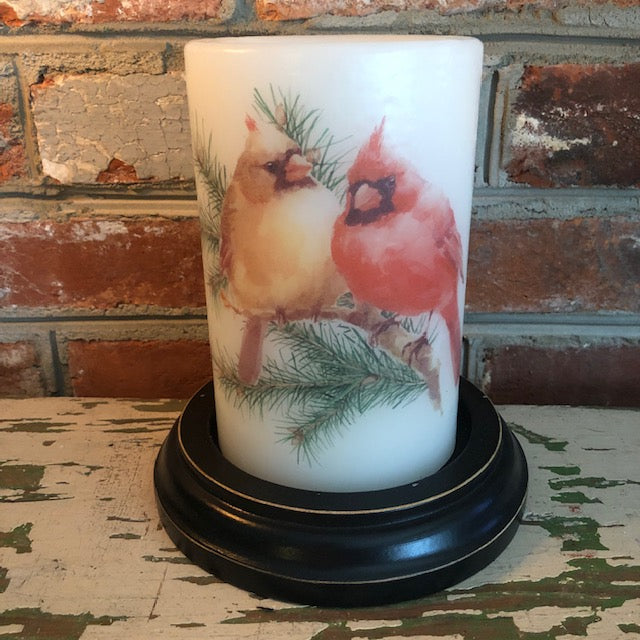 Candle Sleeve - Cardinal Pair