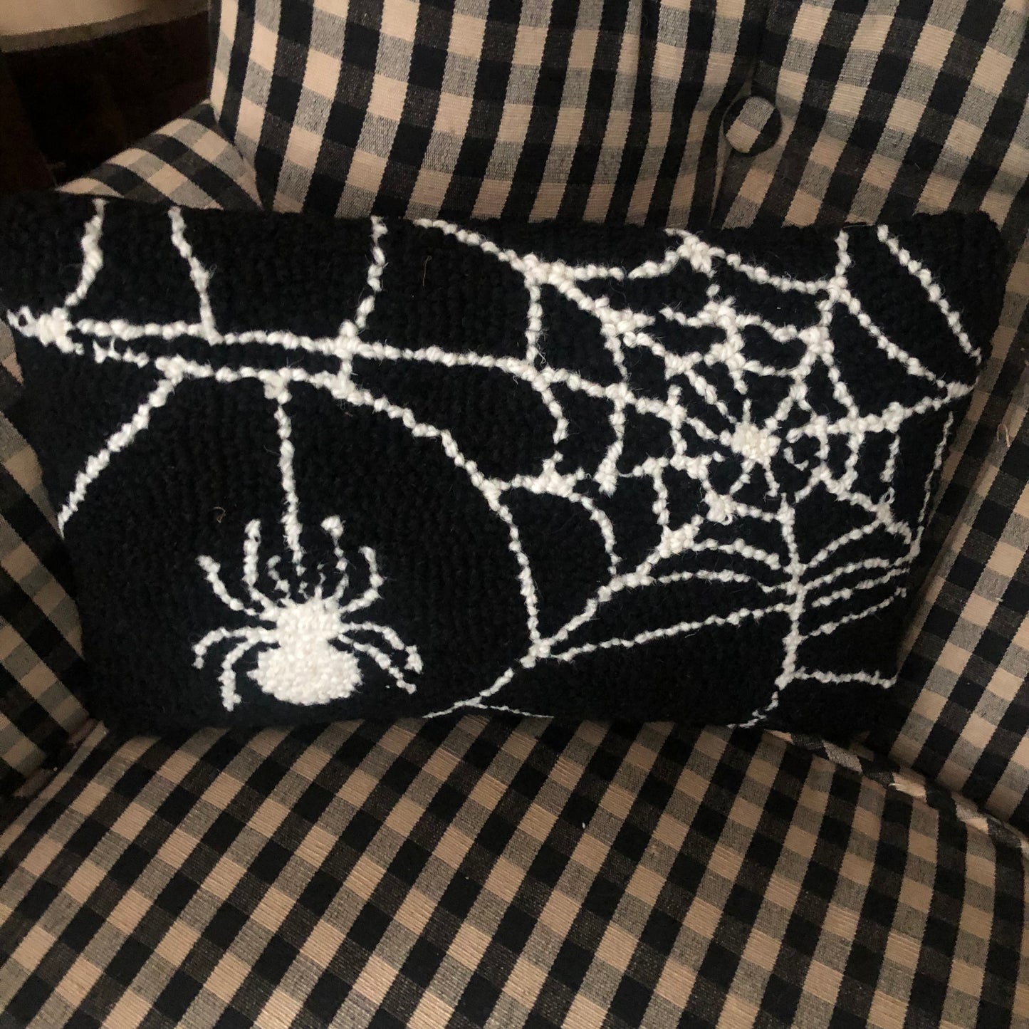 Pillow - Spiderweb (8x12)